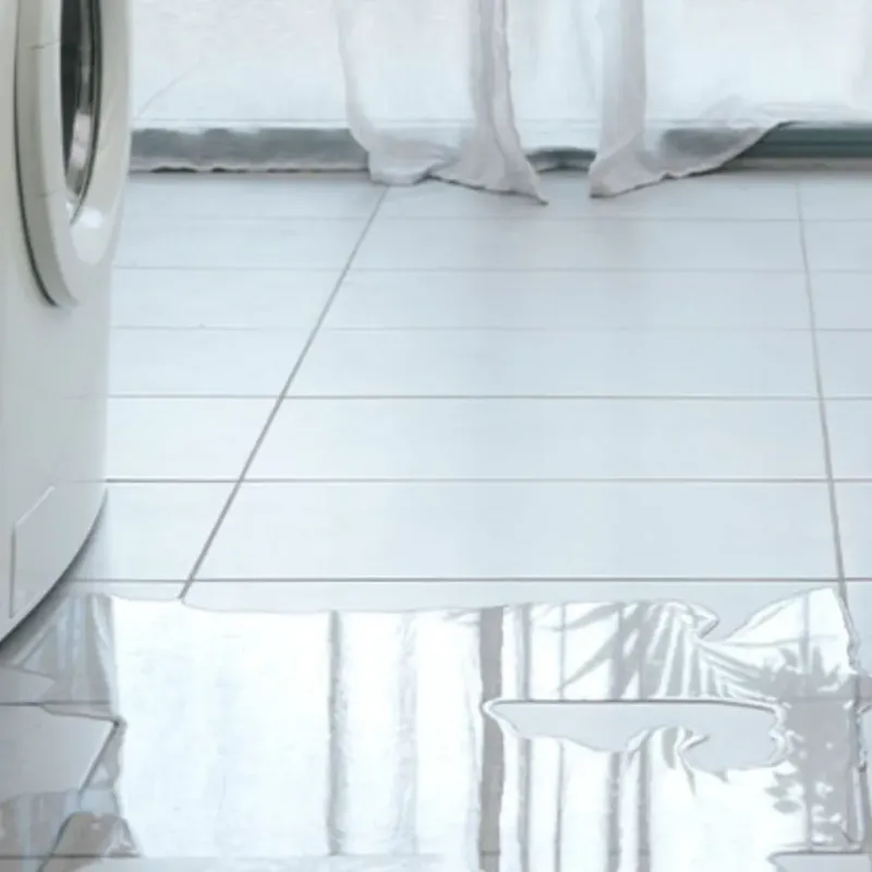 Appliance Leak Cleanup in Clarkston, WA