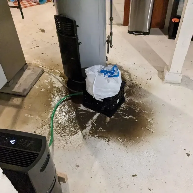 Sewage Backup Cleanup Service in Clarkston, WA
